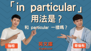 Read more about the article 「in particular」用法是？跟 particular 一樣嗎？